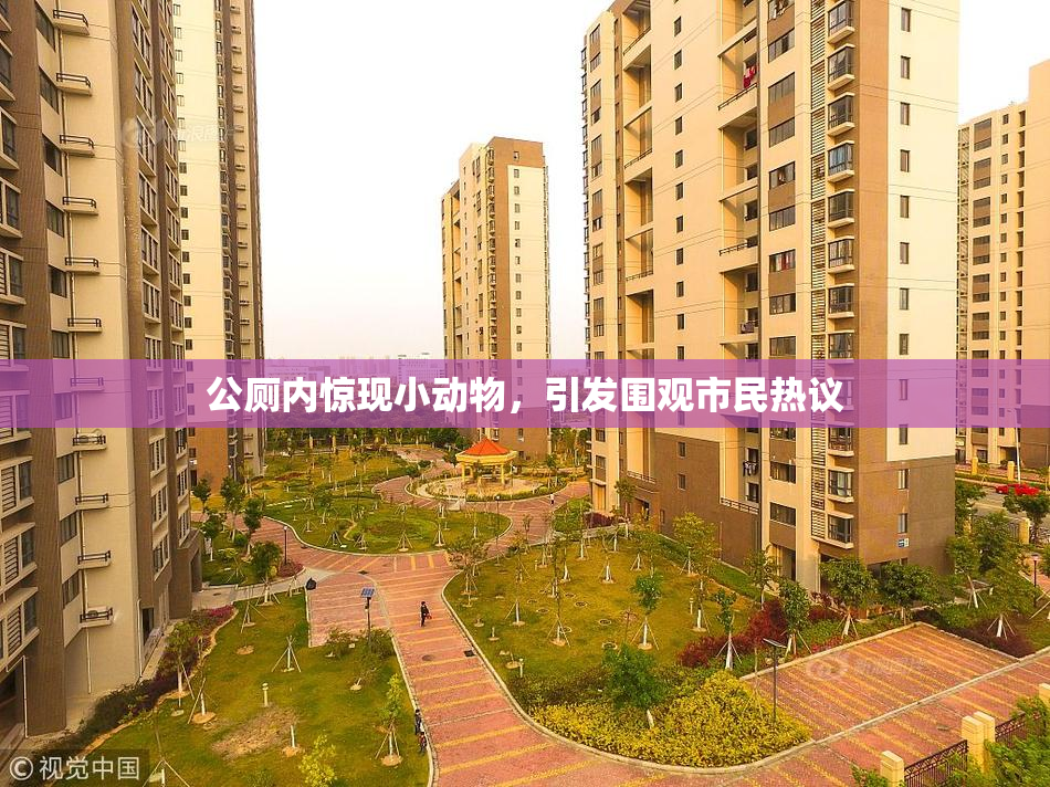公厕内惊现小动物，引发围观市民热议