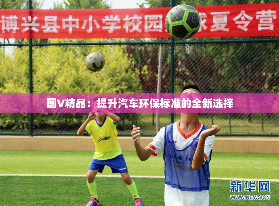 国V精品：提升汽车环保标准的全新选择