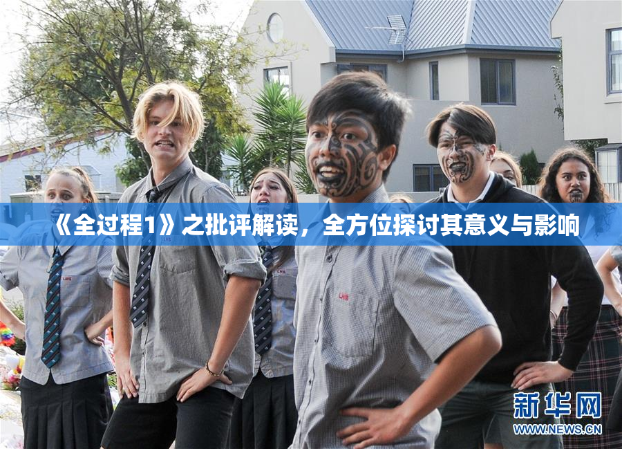 《全过程1》之批评解读，全方位探讨其意义与影响