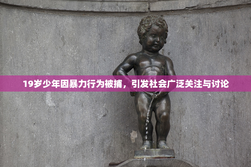 19岁少年因暴力行为被捕，引发社会广泛关注与讨论
