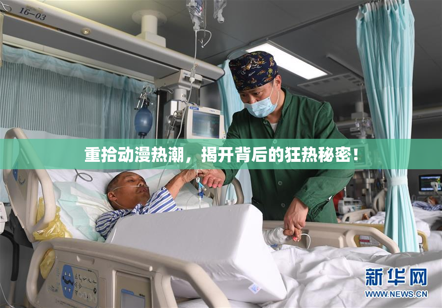 重拾动漫热潮，揭开背后的狂热秘密！