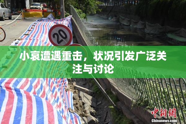 小哀遭遇重击，状况引发广泛关注与讨论