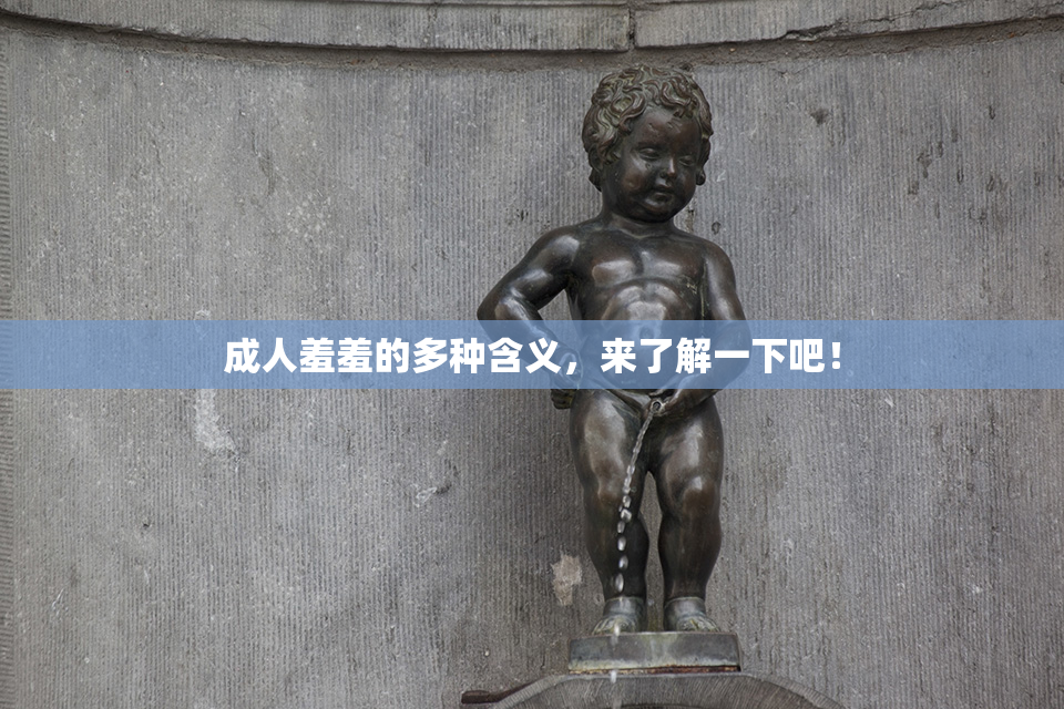 成人羞羞的多种含义，来了解一下吧！