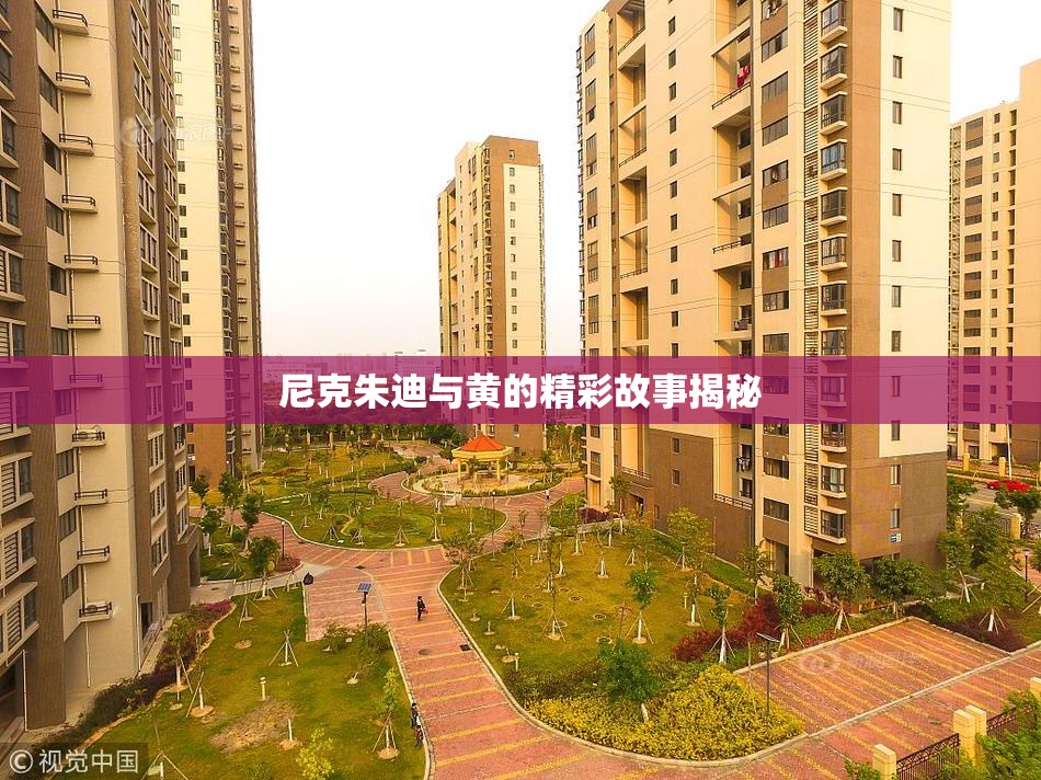 尼克朱迪与黄的精彩故事揭秘