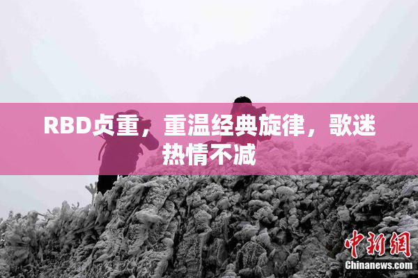RBD贞重，重温经典旋律，歌迷热情不减