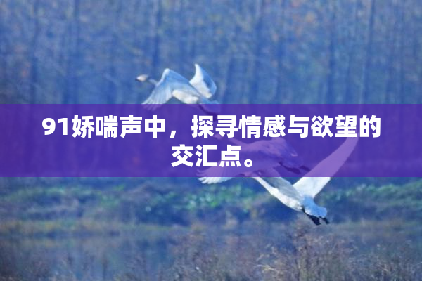 91娇喘声中，探寻情感与欲望的交汇点。