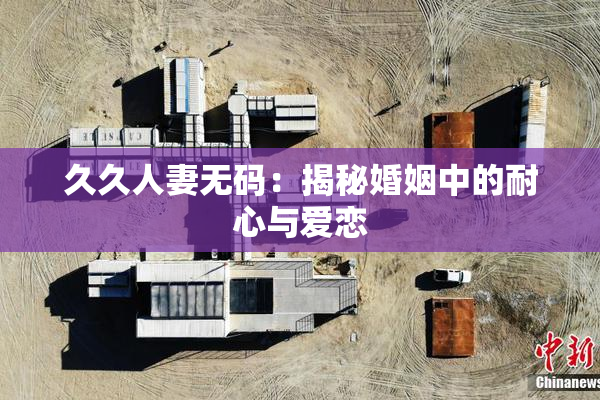 久久人妻无码：揭秘婚姻中的耐心与爱恋