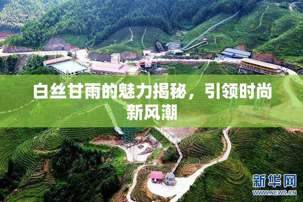 白丝甘雨的魅力揭秘，引领时尚新风潮