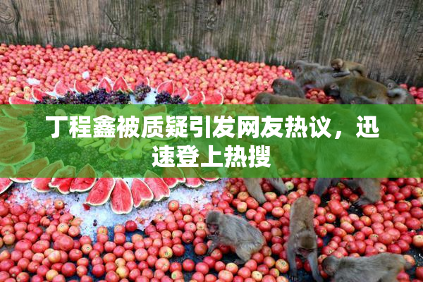 丁程鑫被质疑引发网友热议，迅速登上热搜
