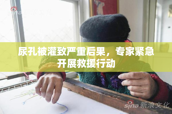 尿孔被灌致严重后果，专家紧急开展救援行动
