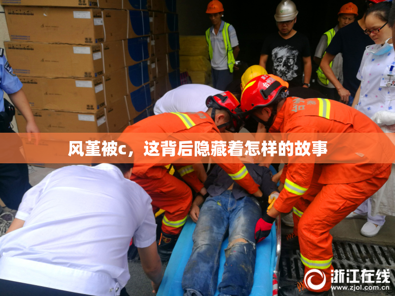 风堇被c，这背后隐藏着怎样的故事
