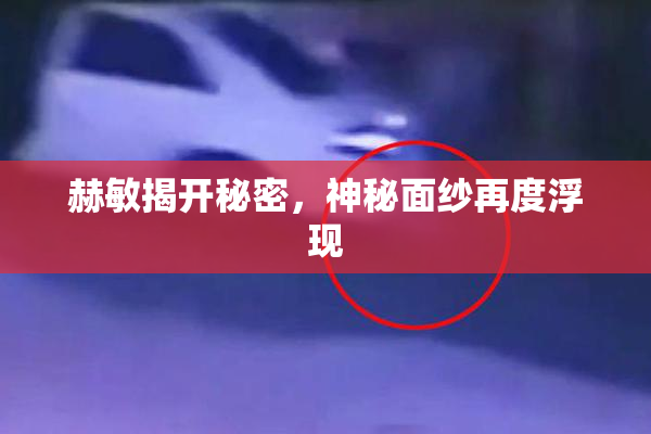 赫敏揭开秘密，神秘面纱再度浮现