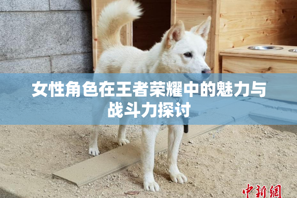 女性角色在王者荣耀中的魅力与战斗力探讨