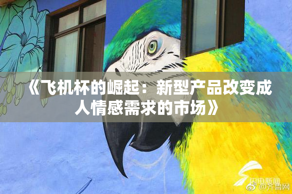 《飞机杯的崛起：新型产品改变成人情感需求的市场》