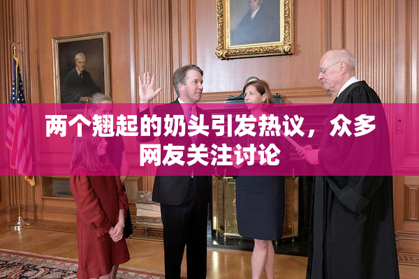 两个翘起的奶头引发热议，众多网友关注讨论