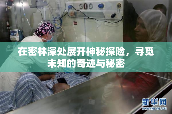 在密林深处展开神秘探险，寻觅未知的奇迹与秘密
