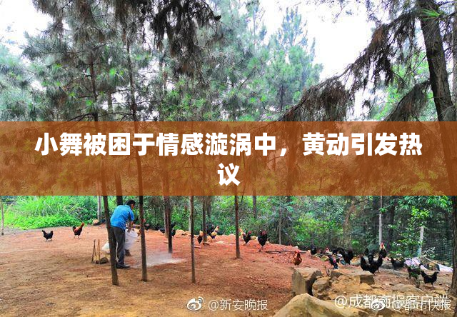 小舞被困于情感漩涡中，黄动引发热议