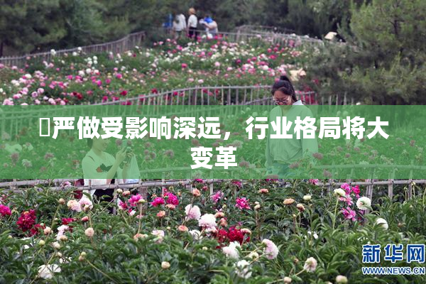 囯严做受影响深远，行业格局将大变革