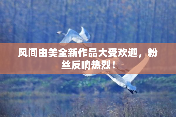 风间由美全新作品大受欢迎，粉丝反响热烈！