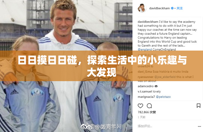 日日摸日日碰，探索生活中的小乐趣与大发现