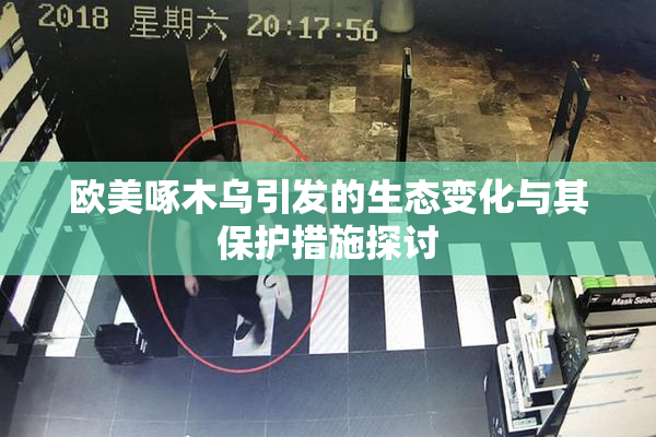 欧美啄木乌引发的生态变化与其保护措施探讨