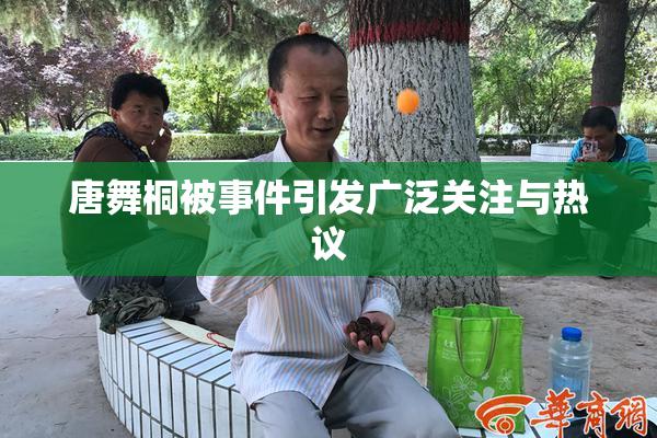 唐舞桐被事件引发广泛关注与热议