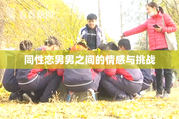 同性恋男男之间的情感与挑战