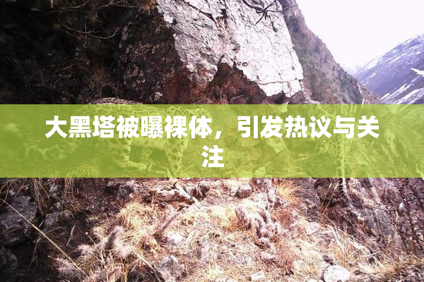 大黑塔被曝裸体，引发热议与关注
