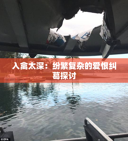 入禽太深：纷繁复杂的爱恨纠葛探讨