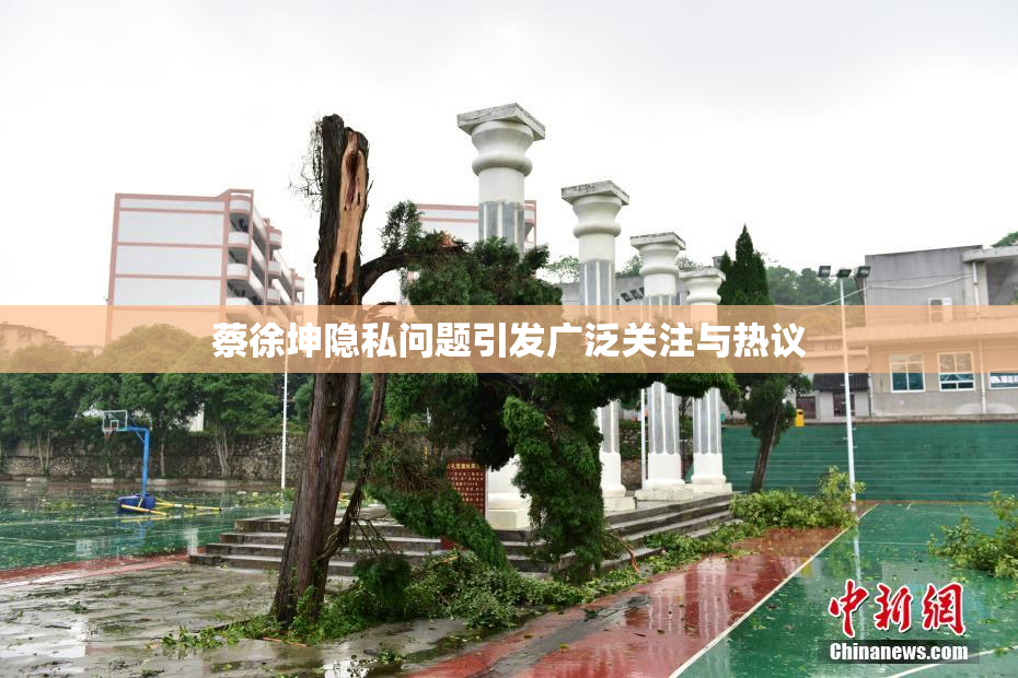 蔡徐坤隐私问题引发广泛关注与热议