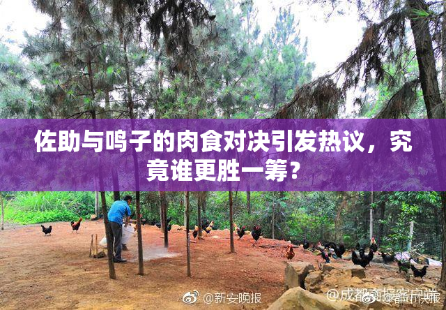 佐助与鸣子的肉食对决引发热议，究竟谁更胜一筹？