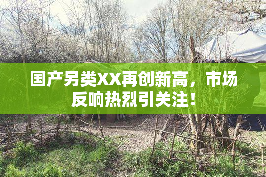 国产另类XX再创新高，市场反响热烈引关注！