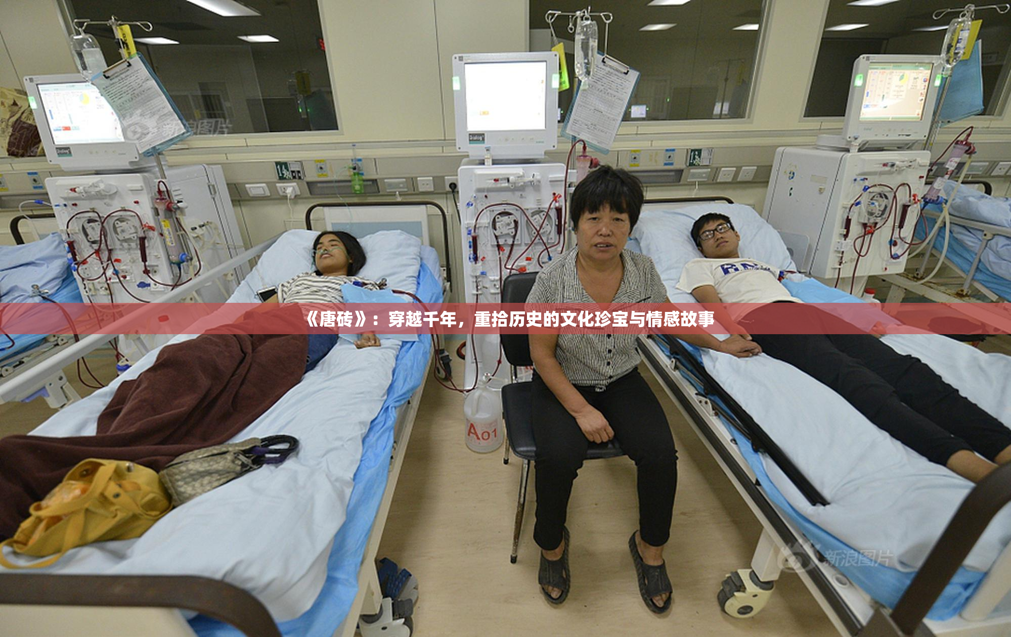 《唐砖》：穿越千年，重拾历史的文化珍宝与情感故事