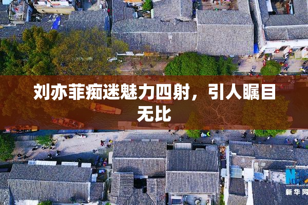 刘亦菲痴迷魅力四射，引人瞩目无比