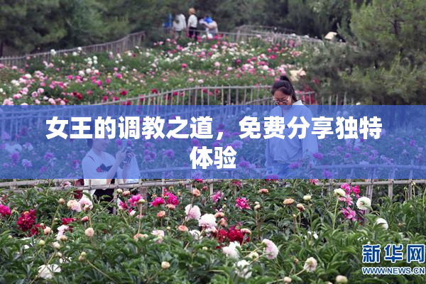 女王的调教之道，免费分享独特体验