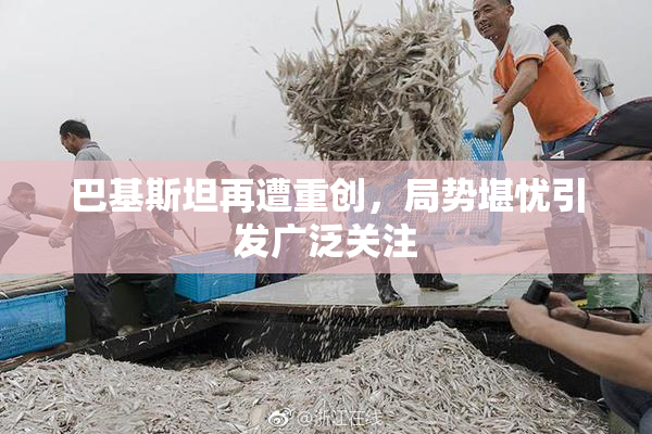 巴基斯坦再遭重创，局势堪忧引发广泛关注