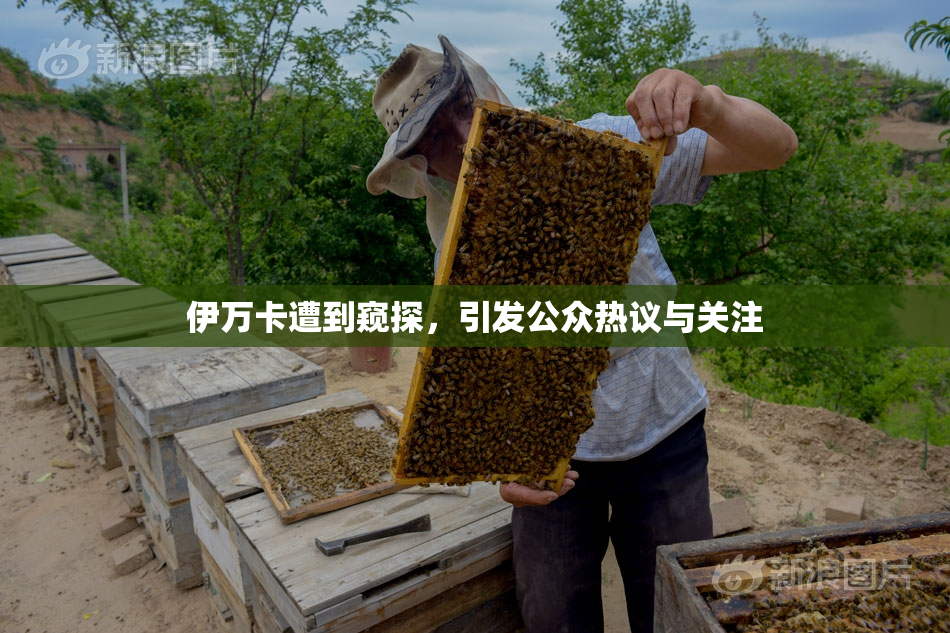 伊万卡遭到窥探，引发公众热议与关注