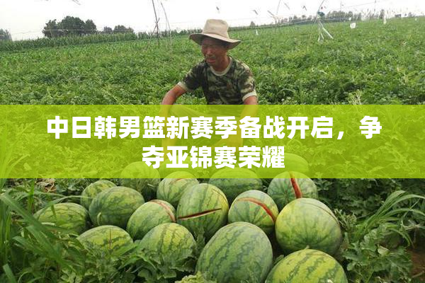 中日韩男篮新赛季备战开启，争夺亚锦赛荣耀