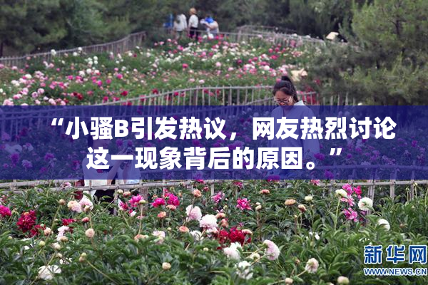 “小骚B引发热议，网友热烈讨论这一现象背后的原因。”