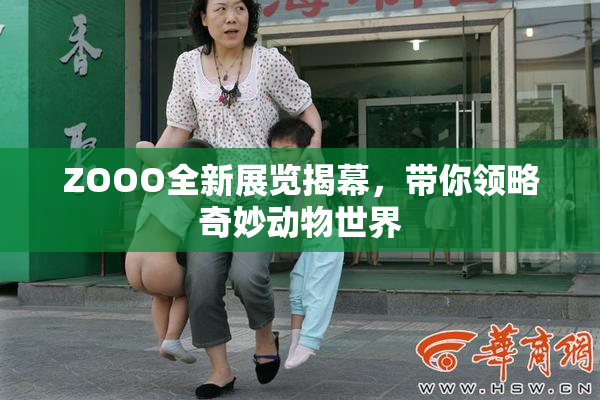 ZOOO全新展览揭幕，带你领略奇妙动物世界