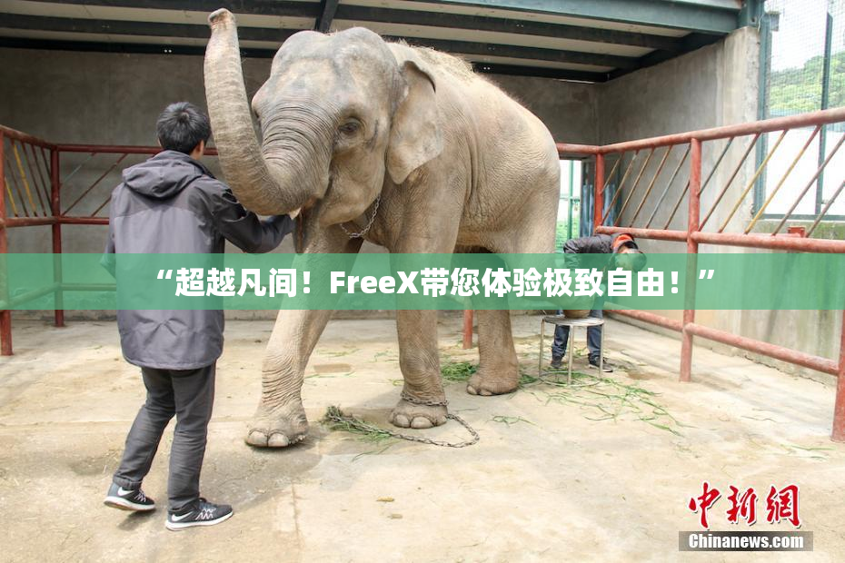 “超越凡间！FreeX带您体验极致自由！”
