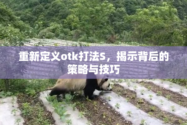 重新定义otk打法S，揭示背后的策略与技巧