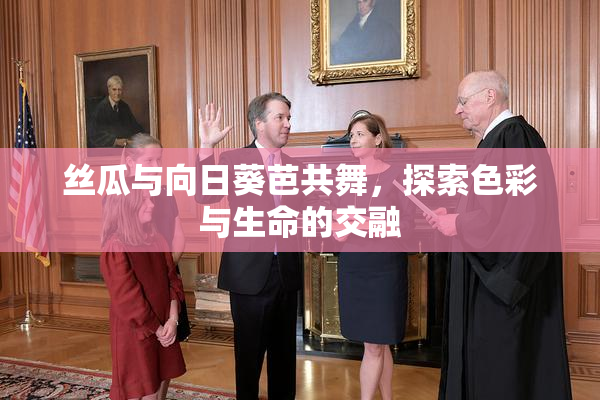 丝瓜与向日葵芭共舞，探索色彩与生命的交融