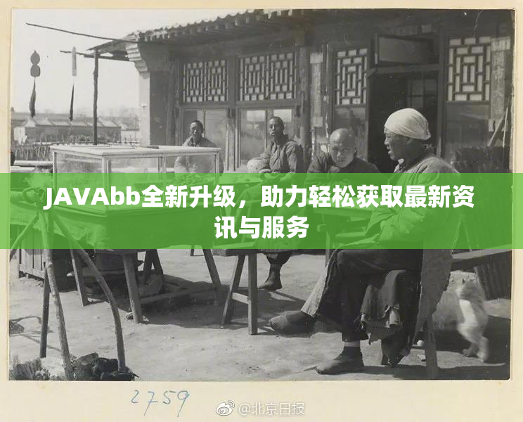 JAVAbb全新升级，助力轻松获取最新资讯与服务