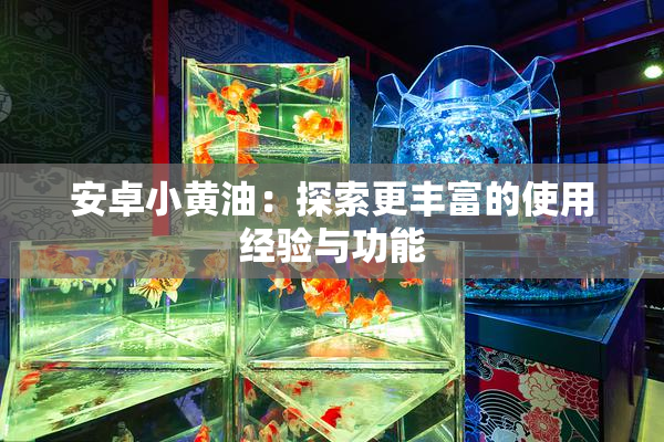 安卓小黄油：探索更丰富的使用经验与功能
