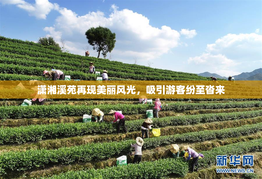 潇湘溪苑再现美丽风光，吸引游客纷至沓来