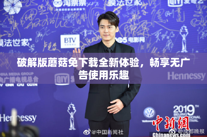 破解版蘑菇免下载全新体验，畅享无广告使用乐趣
