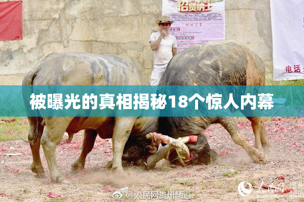 被曝光的真相揭秘18个惊人内幕