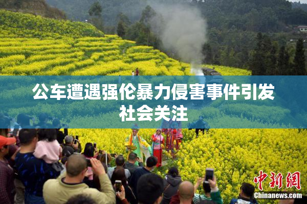 公车遭遇强伦暴力侵害事件引发社会关注