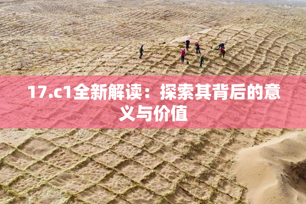 17.c1全新解读：探索其背后的意义与价值